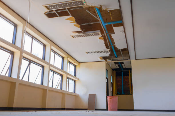 Best Professional water damage repair  in Bottineau, ND