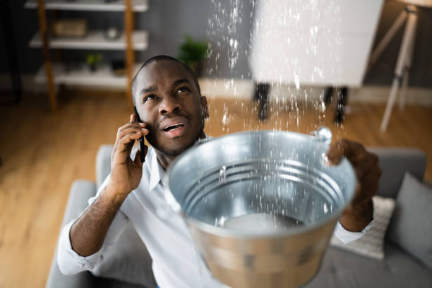 Best Emergency water damage restoration  in Bottineau, ND
