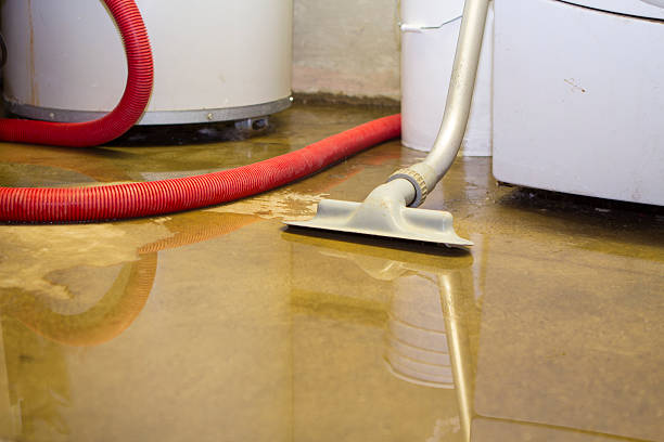 Best Commercial water damage restoration  in Bottineau, ND